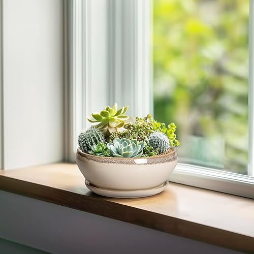 Miniatura 4 de SQOWL Macetas pequeñas para bonsái, macetas de cerámica de 6 pulgadas para suculentas, maceta poco profunda con orificio de drenaje y platillo,