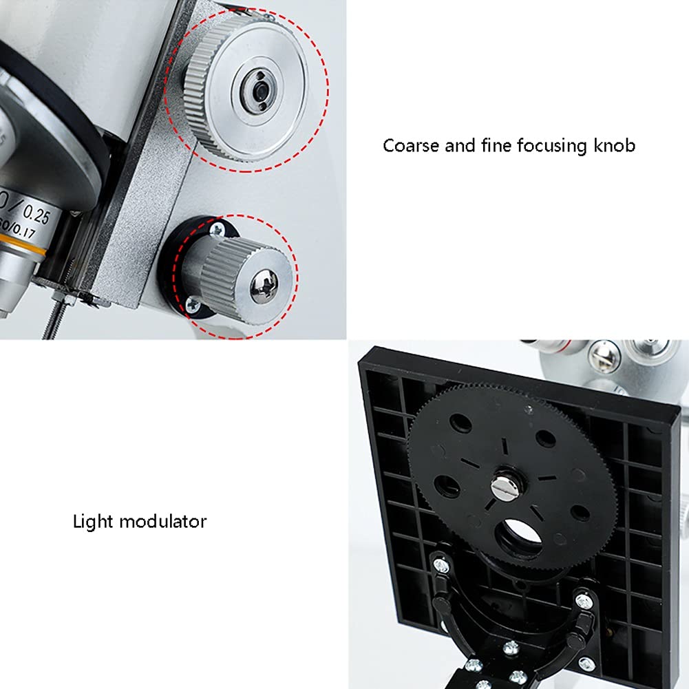 Microscopio per Laboratorio Microscopio Composto Microscopio per Principianti Illuminazione a LED e Specchio con oculare WF20X Adulti Studenti Bambini Laboratorio