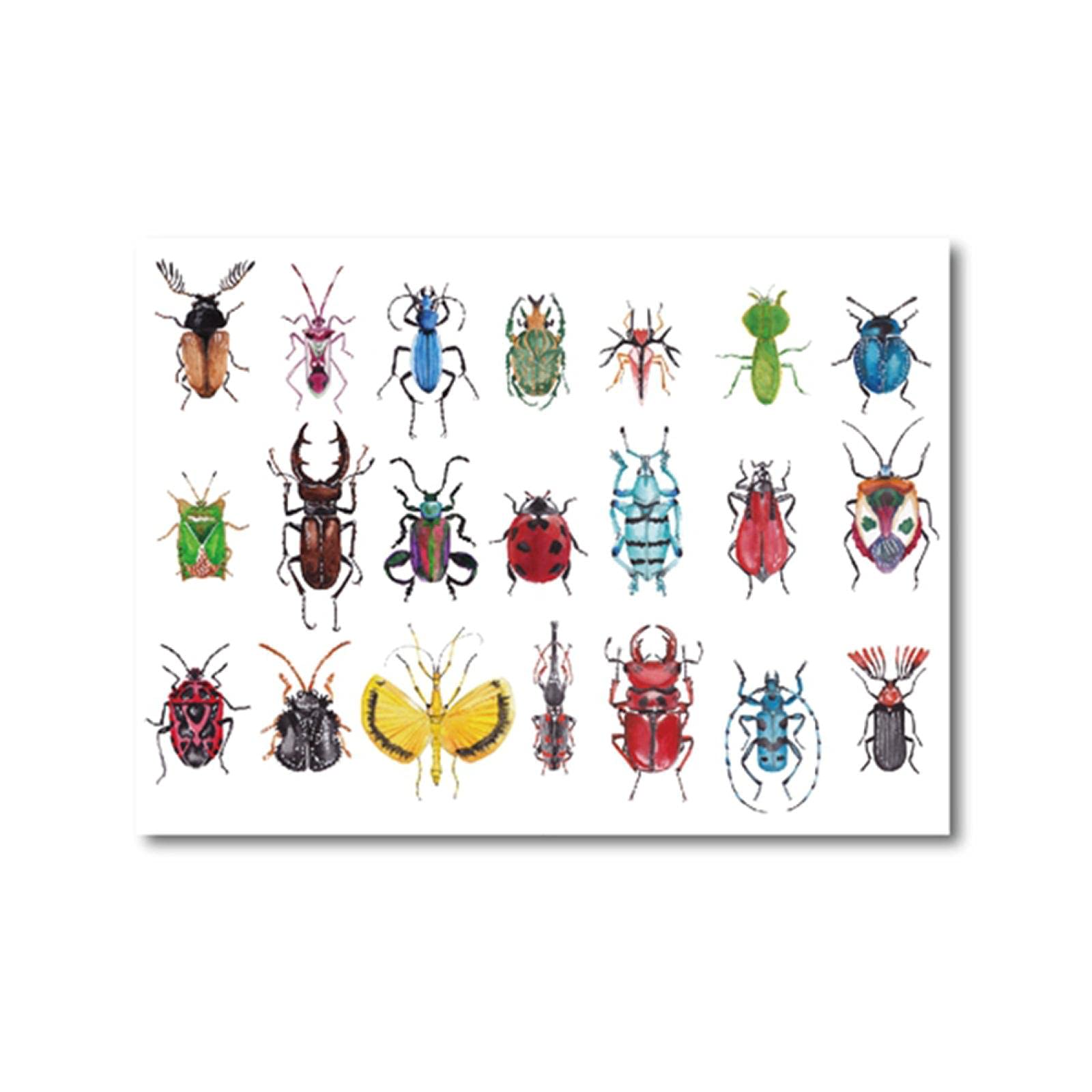 Amazon.co.jp: 水彩昆虫アートカブトムシコレクションイラストプリント