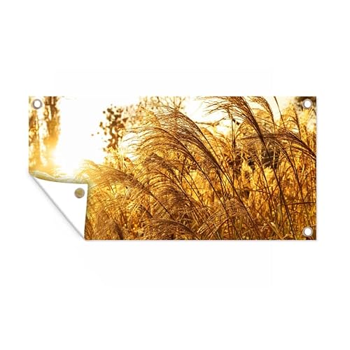 MuchoWow Poster exterieur Herbe de la pampa - Soleil - Herbe Decoration murale 60x30 cm Résistant aux intempéries/soleil