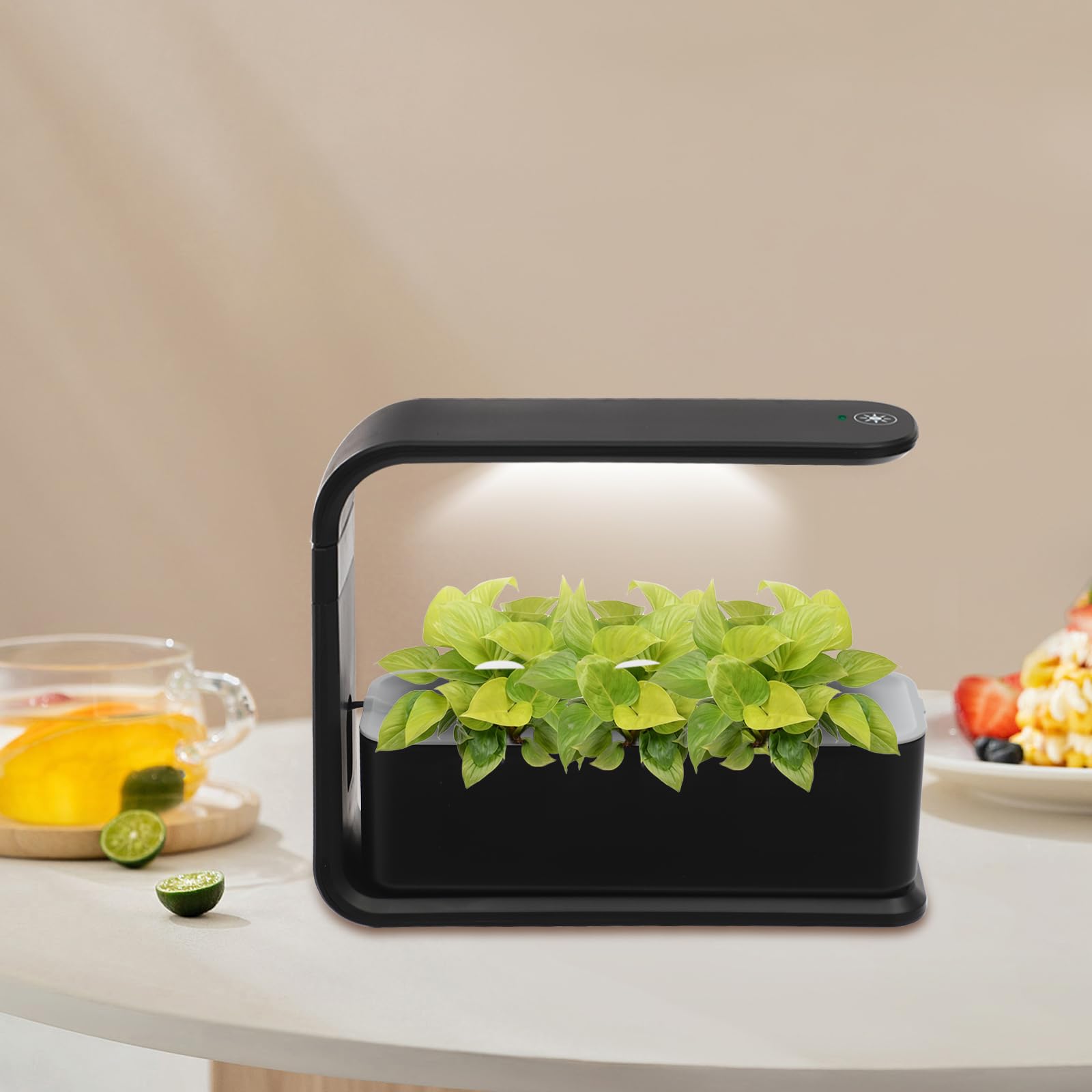 Kit de plantador hidropónico interior, Jarrón hidropónico con luz de crecimiento | Sistema de cultivo hidropónico con 3 cestas para plantar, hermosa estación de reproducción de plantas para el hogar (negro)