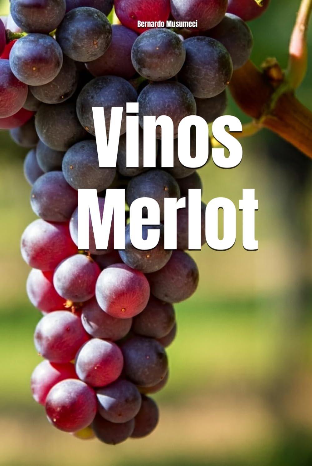 Vinos Merlot (Wines of the World: France)