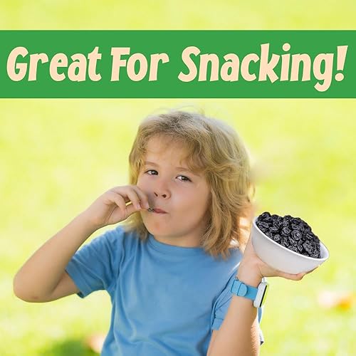 Miniatura 7 de Sincerely Nuts Arándanos secos (2 libras) sin gluten, vegano y kosher - Fresco de Estados Unidos - A granel, deliciosas frutas secas para todas tus