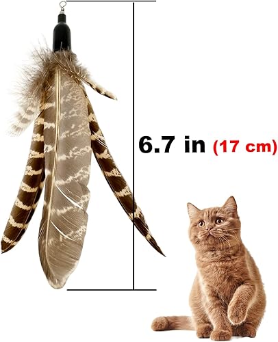 Miniatura 4 de Recambios de juguetes de plumas para gatos, 6 piezas hechas a mano de plumas de pájaro, pluma de repuesto para varita de gato para gatos de interior