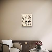 Vista 9 de Meishe Art Póster Vintage Impresión Colección de Insectos Identificación de Especies Tabla de Referencia Diagrama de Entomología Aula Club