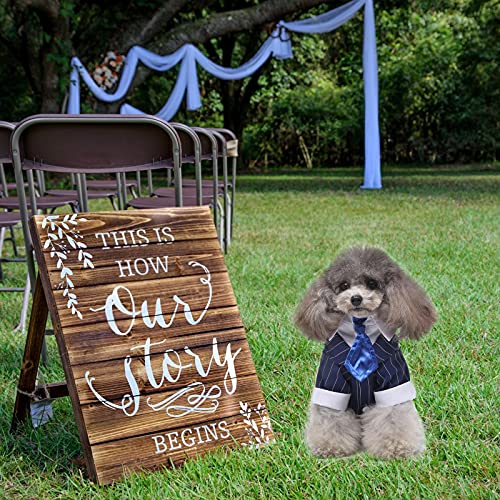 Disfraz Tuxedo Azul para Perro Talla XL miniatura 4