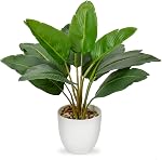 Hollyone Artificial Monstera Plant Faux Monstera Deliciosa Plant Potted Fake Tropical Plants in Black Pot for Indoor Outdoor Home Decoration