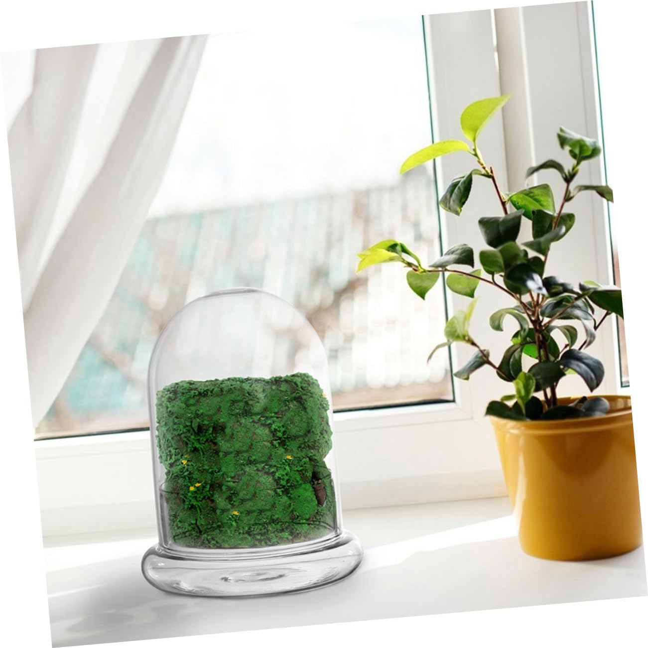 クリアガラス ベル型　ドーム　クロッシュ クリアガラス ベル型 ドーム クロッシュ