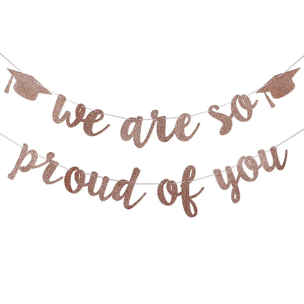 2019 Graduation Party Decorations Rose Gold Glittery We are So Proud