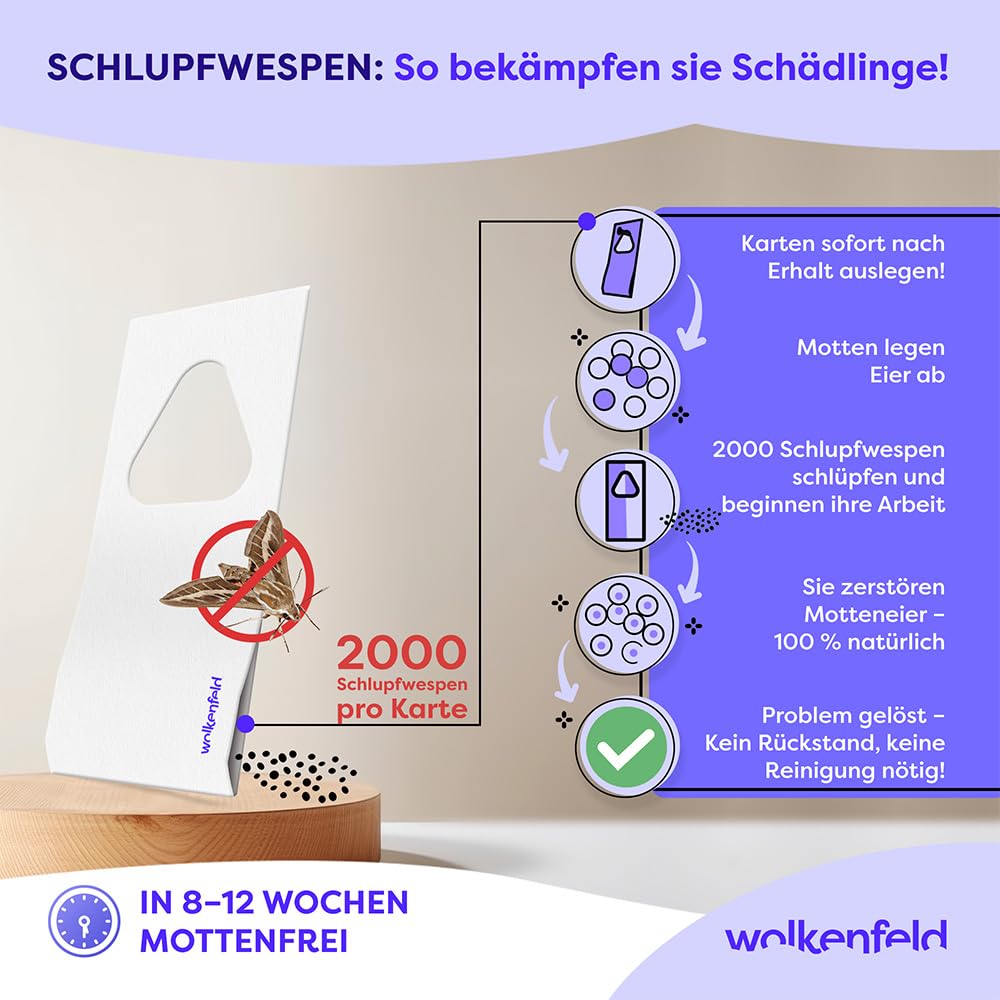 Wolkenfeld Schlupfwespen gegen Lebensmittelmotten – 32 Karten (8 Karte à 4 Lieferungen) – Effektive & Chemiefreie Mottenbekämpfung – Natürliche Alternative zu Mottenfallen, Sprays & Pheromonfallen