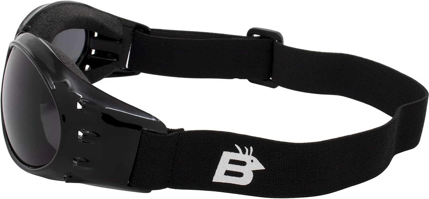 Birdz Eyewear Eagle Motorcycle Goggles - Image 3