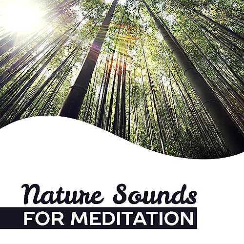 Amazon.com: Nature Sounds for Meditation – Training Yoga, Deep Focus ...