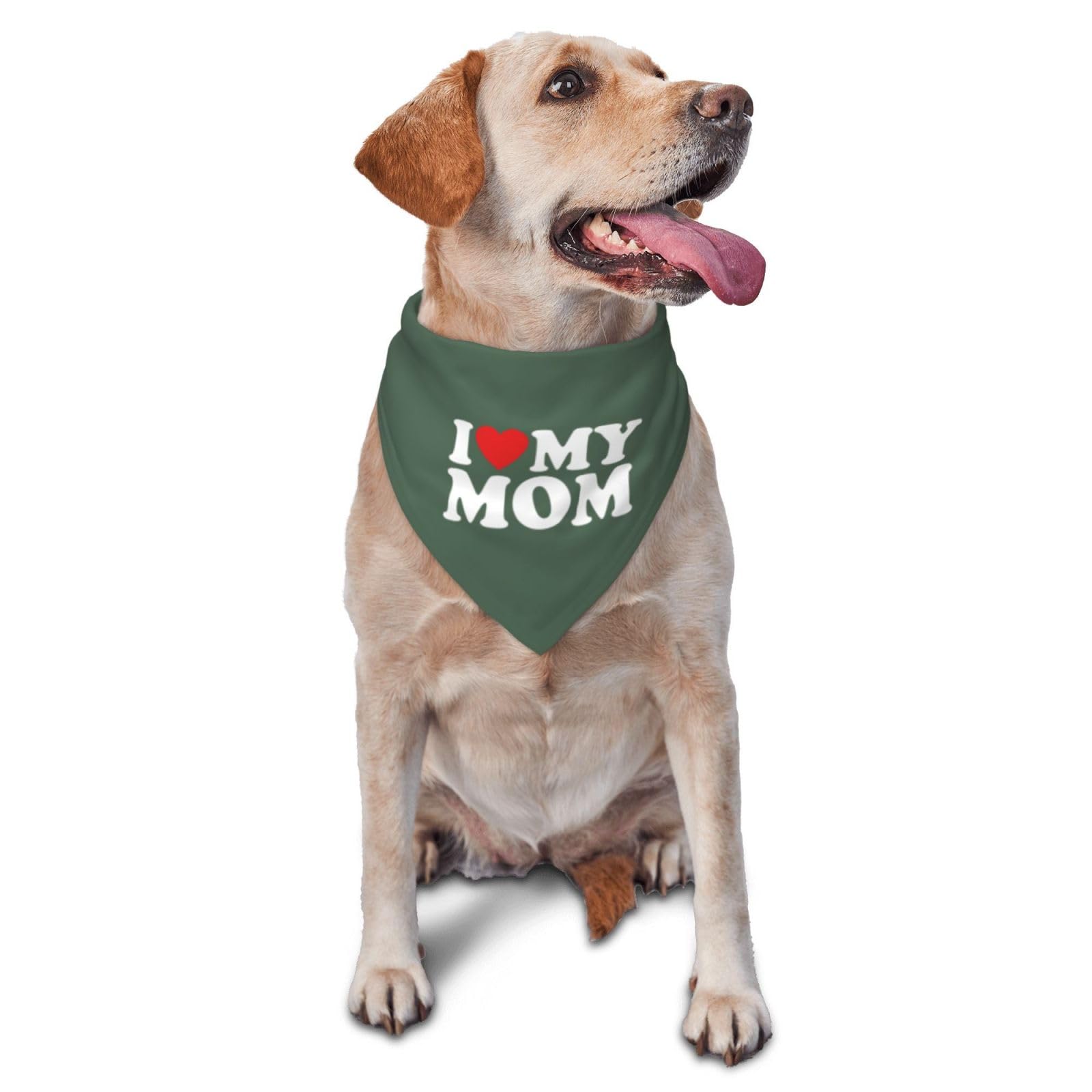 Bandana pour chien confortable vert foncé : intégrez votre animal à la fête