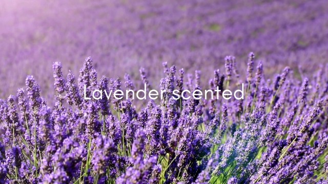 【新品未使用】of cosmetics Lavender & Tea Tree Tea Tree Lavender Mint Moisturizing Shampoo - 10.14 fl oz