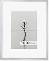 Vista 161 de Fun Memories Portarretratos de metal de 16 x 20 pulgadas con paspartú de 11 x 14 pulgadas, acabado de aluminio cepillado, parte delantera de vidrio