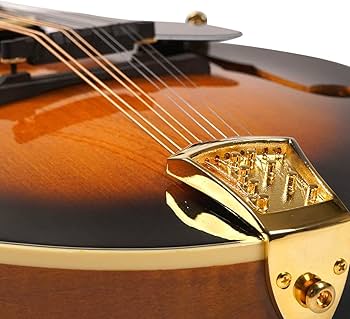 Amazon.com: Gold Tone GM-70 F-Style Mandolin (Two Tone Amazon.com: Gold Tone GM-70 F-Style Mandolin (Two Tone