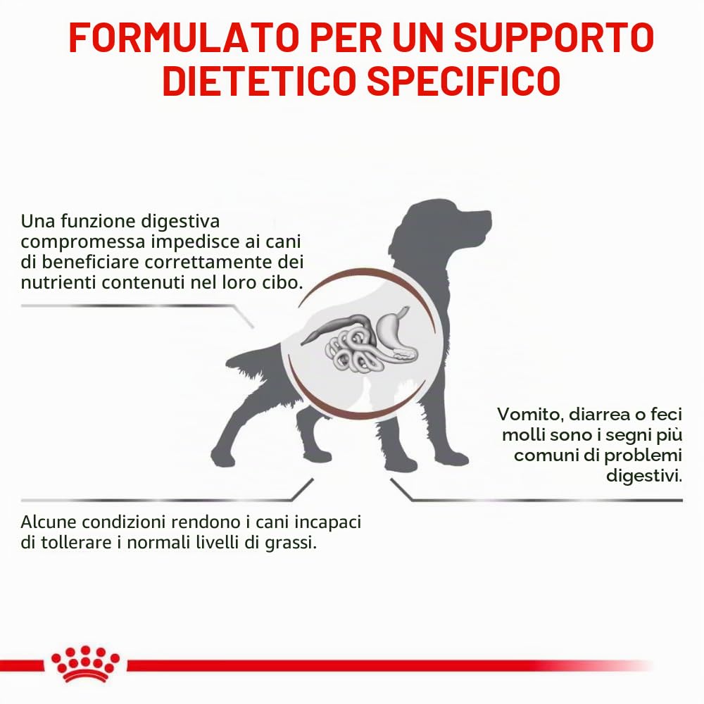 Royal Canin Veterinary Gastrointestinal Low Fat Mousse | 12 x 420 g | Mangime dietetico completo per cani adulti | Per il supporto digestivo e l'obesità.