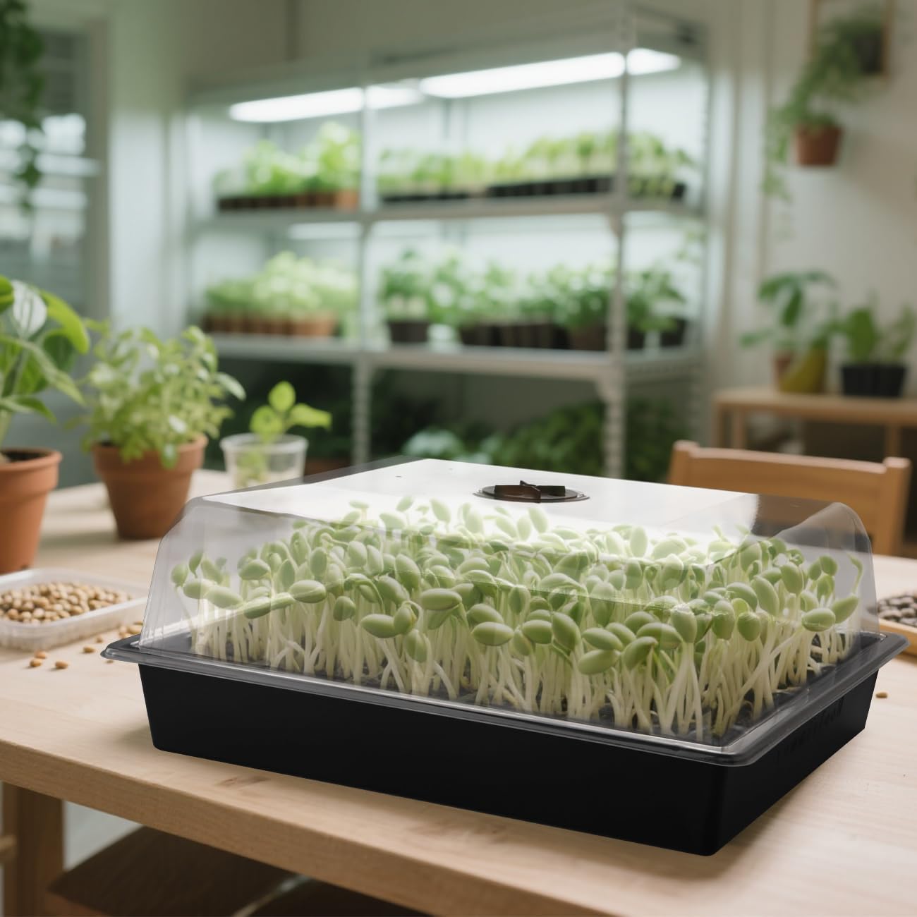 RooTrimmer Lot de 10 dômes étanches en plastique transparent pour démarrage de semences, humidification et isolation pour la germination en serre et la culture du jardin (40,6 x 33 cm, 10,2 cm de