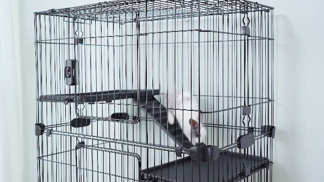 Casa Prefabricada PawHut Jaula Para Roedores Pequeu00f1os Con