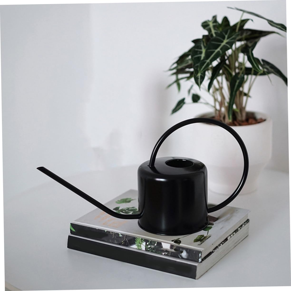 TOYANDONA Regadera Mango Ergonómico y Diseño Ligero de 1,3 L de Acero Inoxidable para Riego de Plantas Interiores y Exteriores