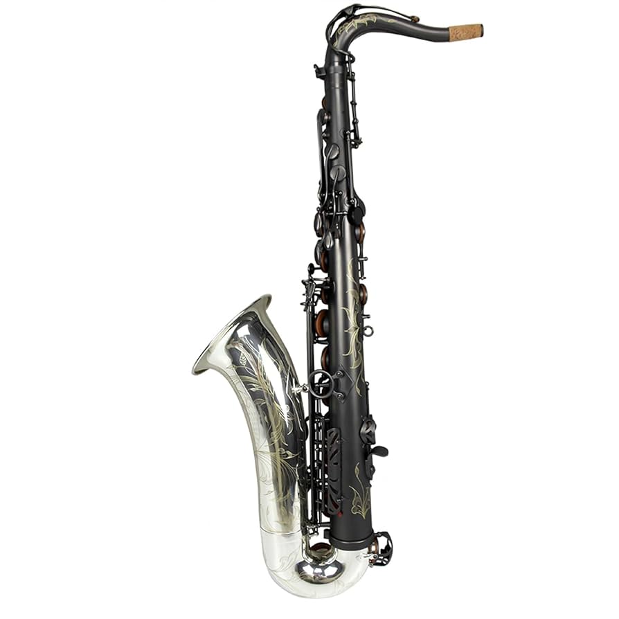 Amazon | 高級マットブラックボディ シルバーベル 金管楽器