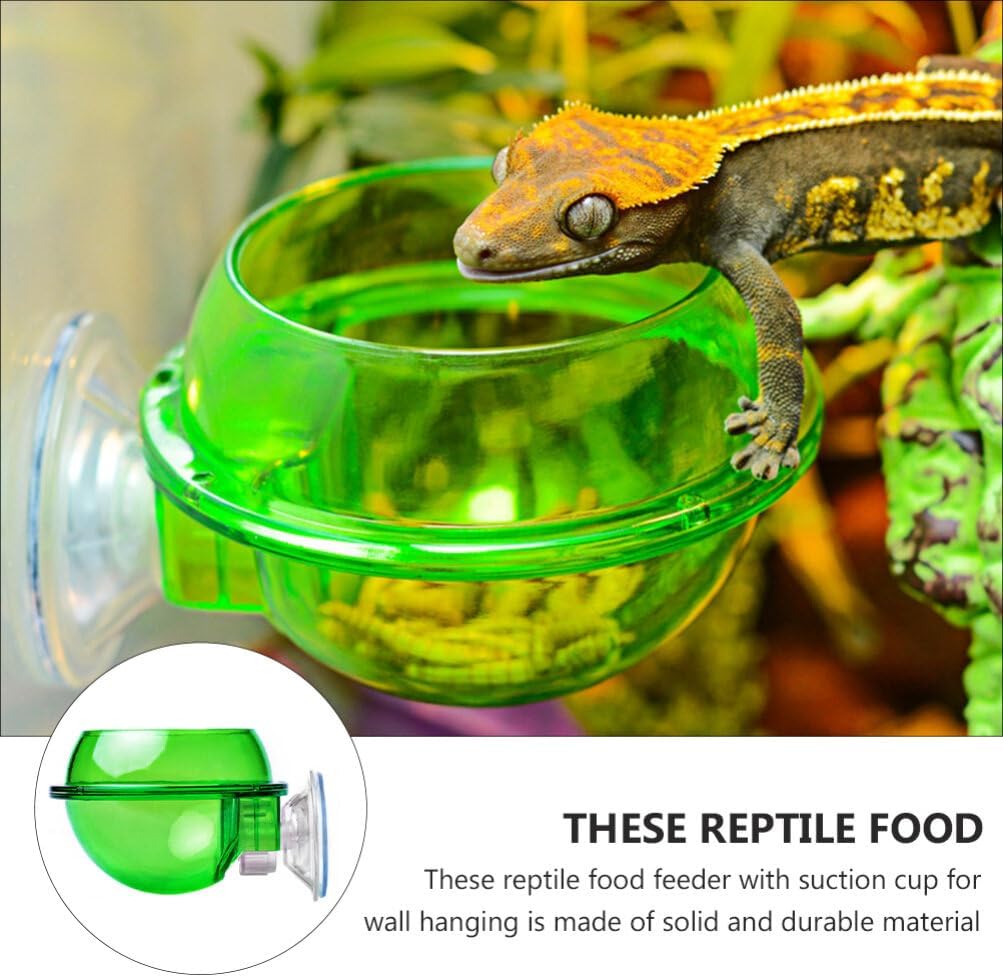 2sets Leopard Gecko Food Dish Pet Water Bowl with Suction Cup for Easy Feeding 4pcs*2