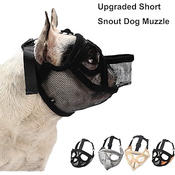 hannibal dog muzzle