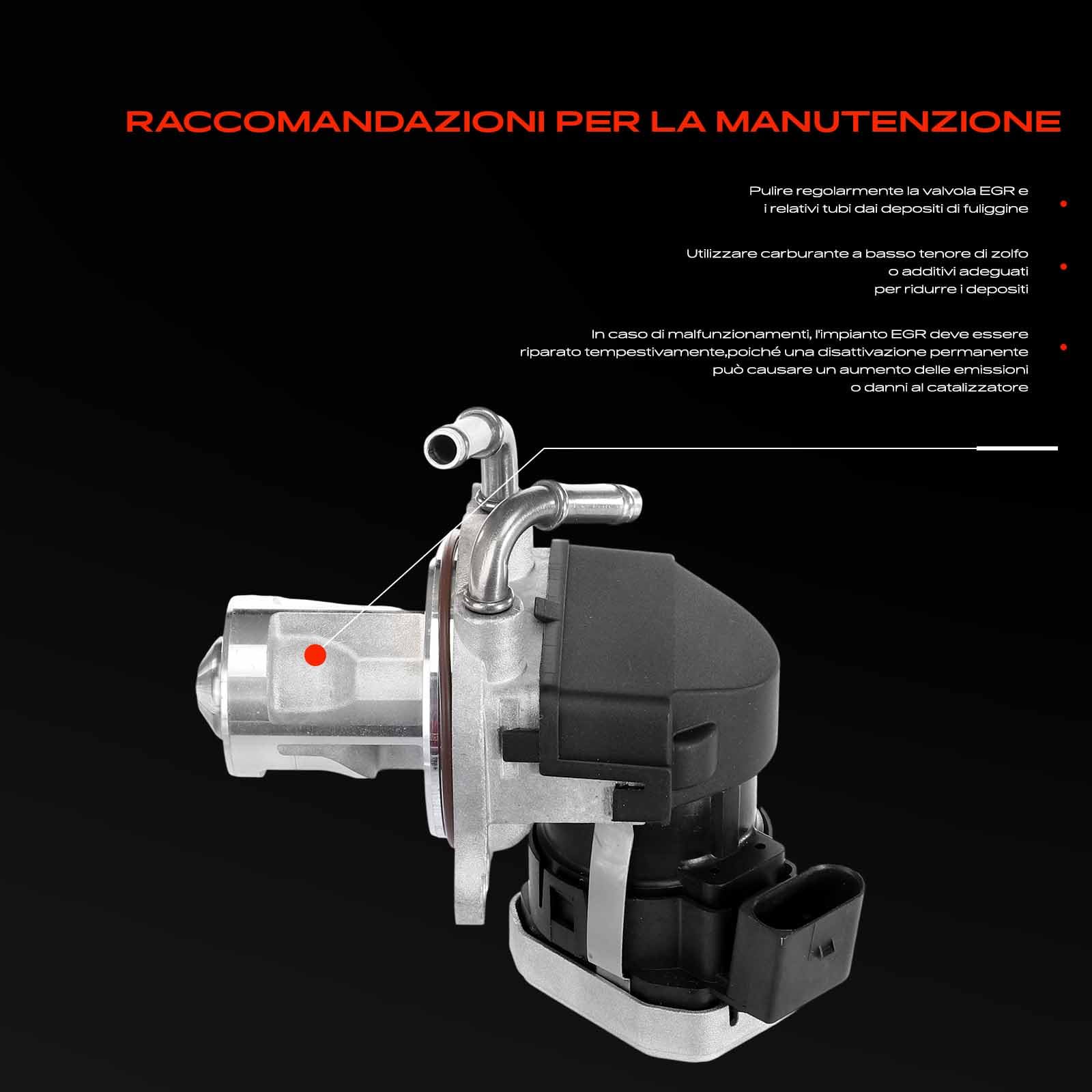 Frankberg Valvola EGR 6401400760 | Compatibile con: Classe B W245, Classe A W169