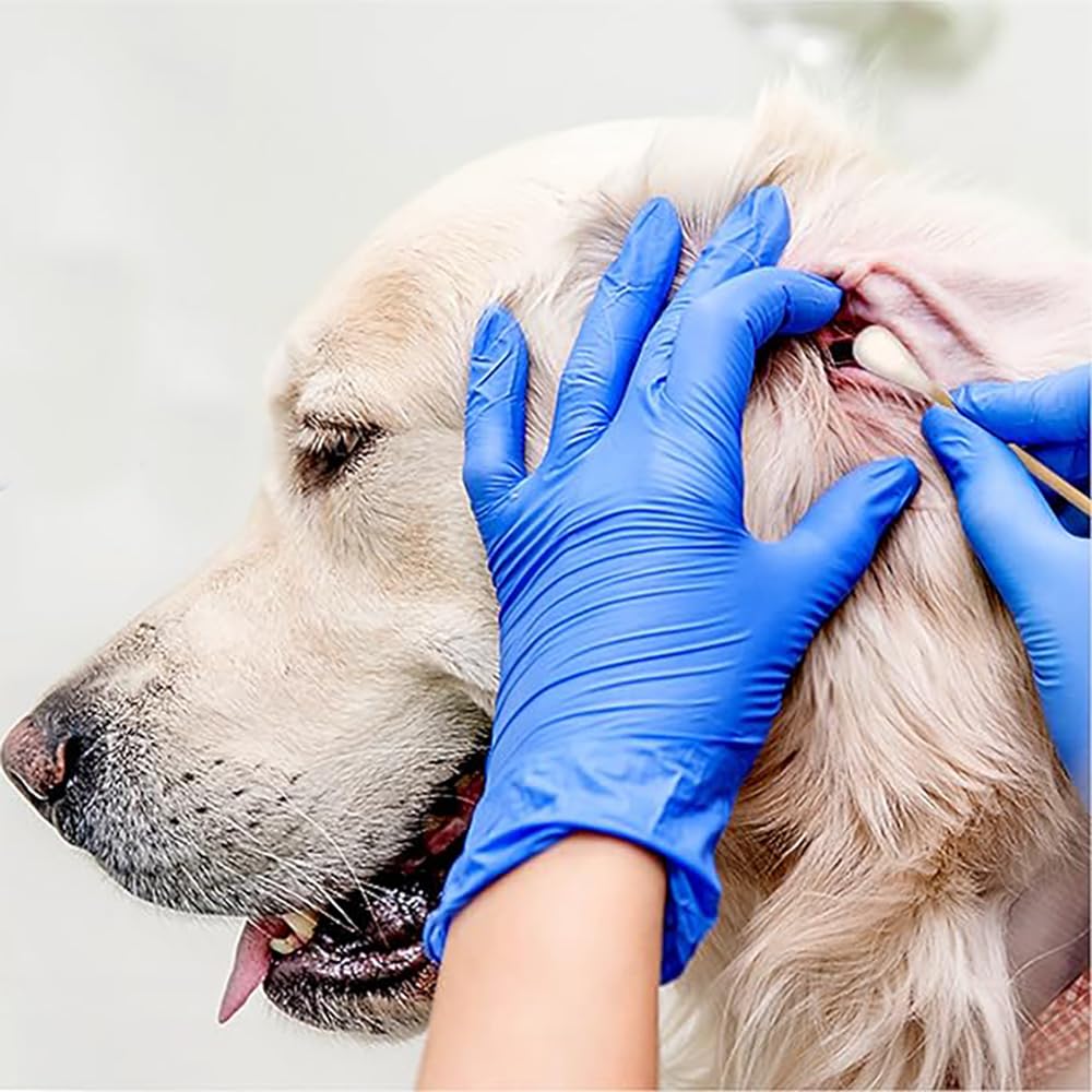 Bomann® Aspirapolvere Ermetico | Risparmio Energetico | 700 Watt | Sistema Di Microfiltraggio A 5 Pieghe | Con Sacchetto | Spazzola/bocchetta | BS 9019 CB N Antracite