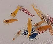 Review Image by DH in INDY DH in INDY