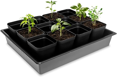 Miniatura 36 de Macetas cuadradas de 3.15 pulgadas (3.1 in), 100 piezas, bandejas resistentes para plántulas, 5 unidades, bandeja de germinación de iniciación