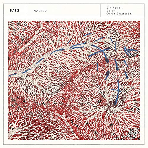 Amazon Music UnlimitedでSin Fang, Sóley & Örvar SmárasonのWastedを