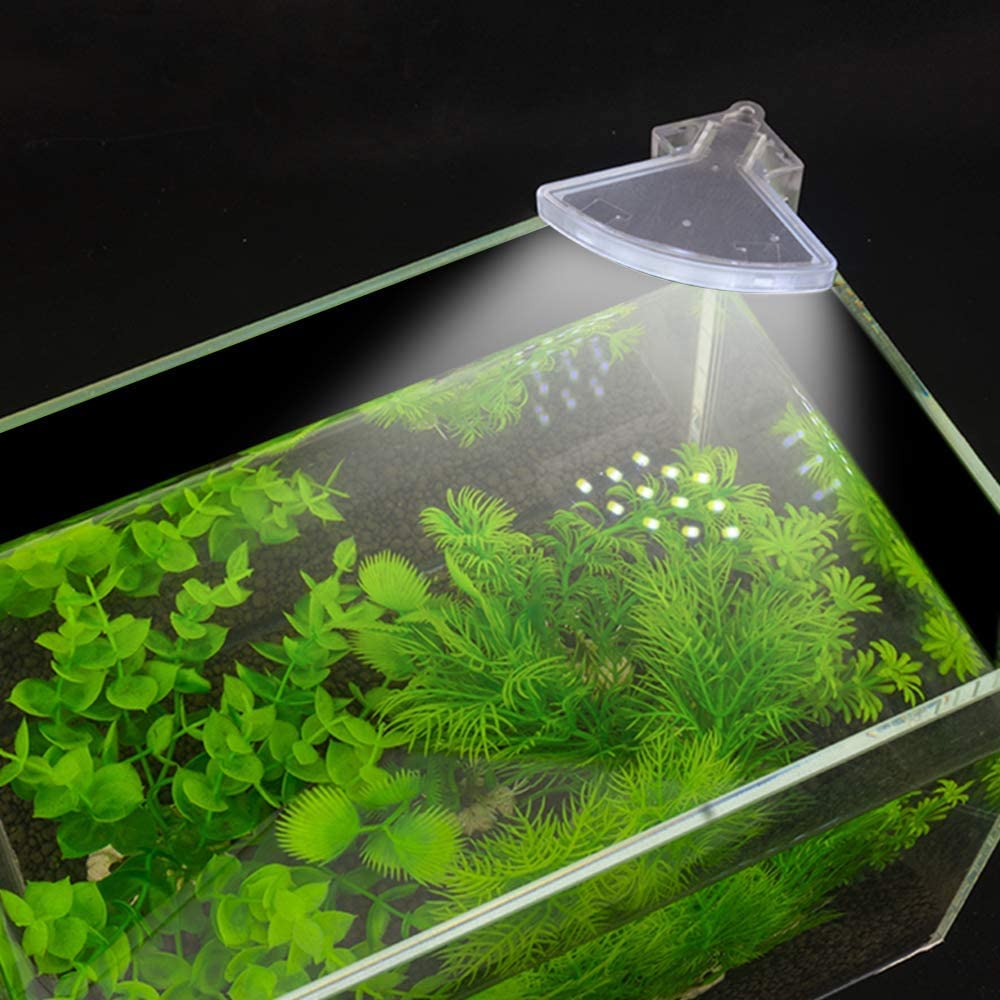 VENUS AQUA Aquarium Fish Tank Corner LED Light US 5W 12 LED Fan Shaped Aquarium Planted Clip Lamp 600LM for 6-12 Inch (White Lighting) (B09J53QNW1) Amazon Price History, Amazon Price Tracker