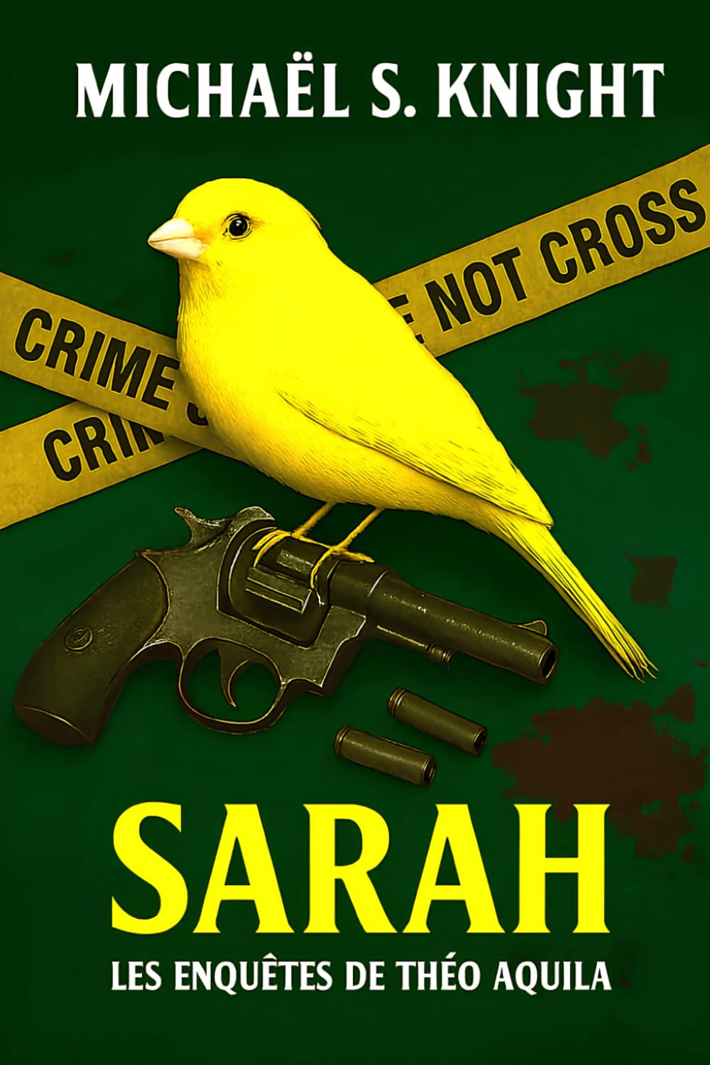 Sarah (Les Enquêtes de Théo Aquila)