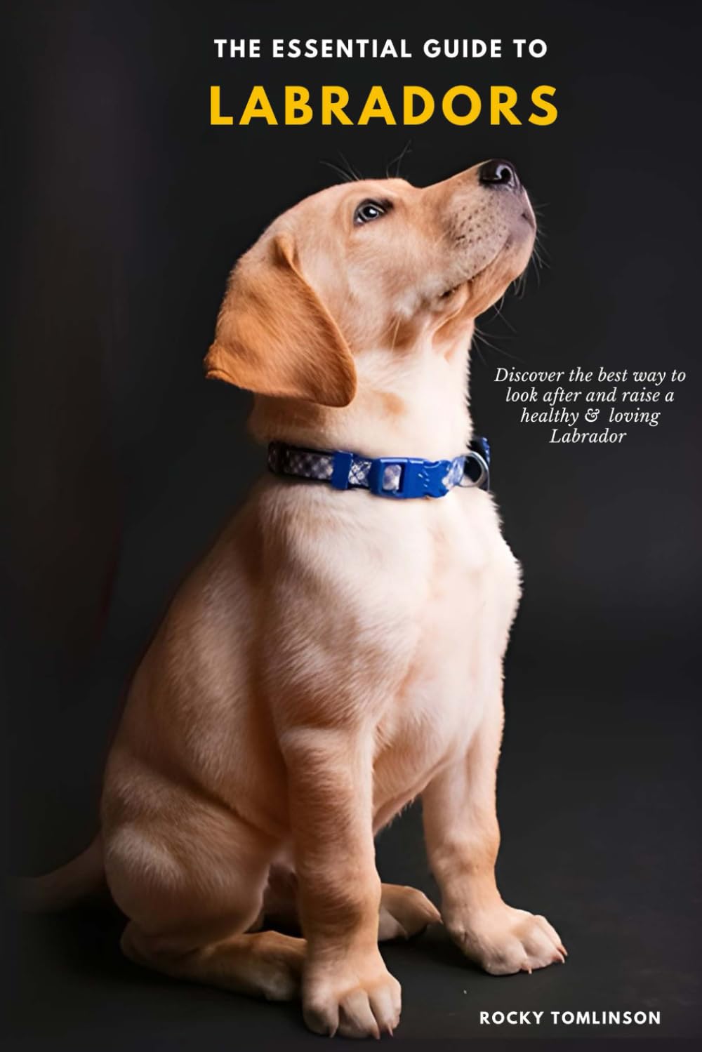 The Essential Guide to Labradors: Discover the best way to raise a healthy & loving Labrador