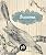 Capa de Iracema - revised and illustrated