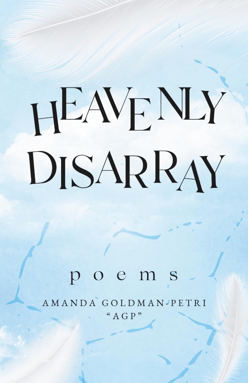 Heavenly Disarray poems: Poems That Follow Through Life And Death