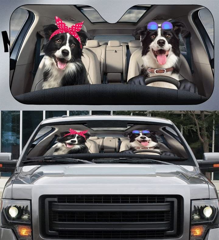 Pare-soleil voiture pliable contre les brûlures du soleil protection de pare-brise 3D