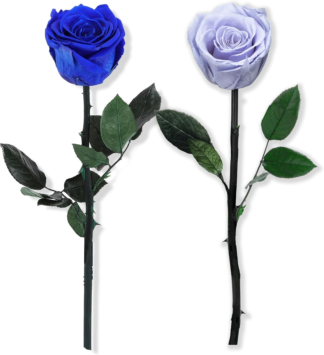 Blue and Solid Lilac Roses Pairing - Perfect Blue Set