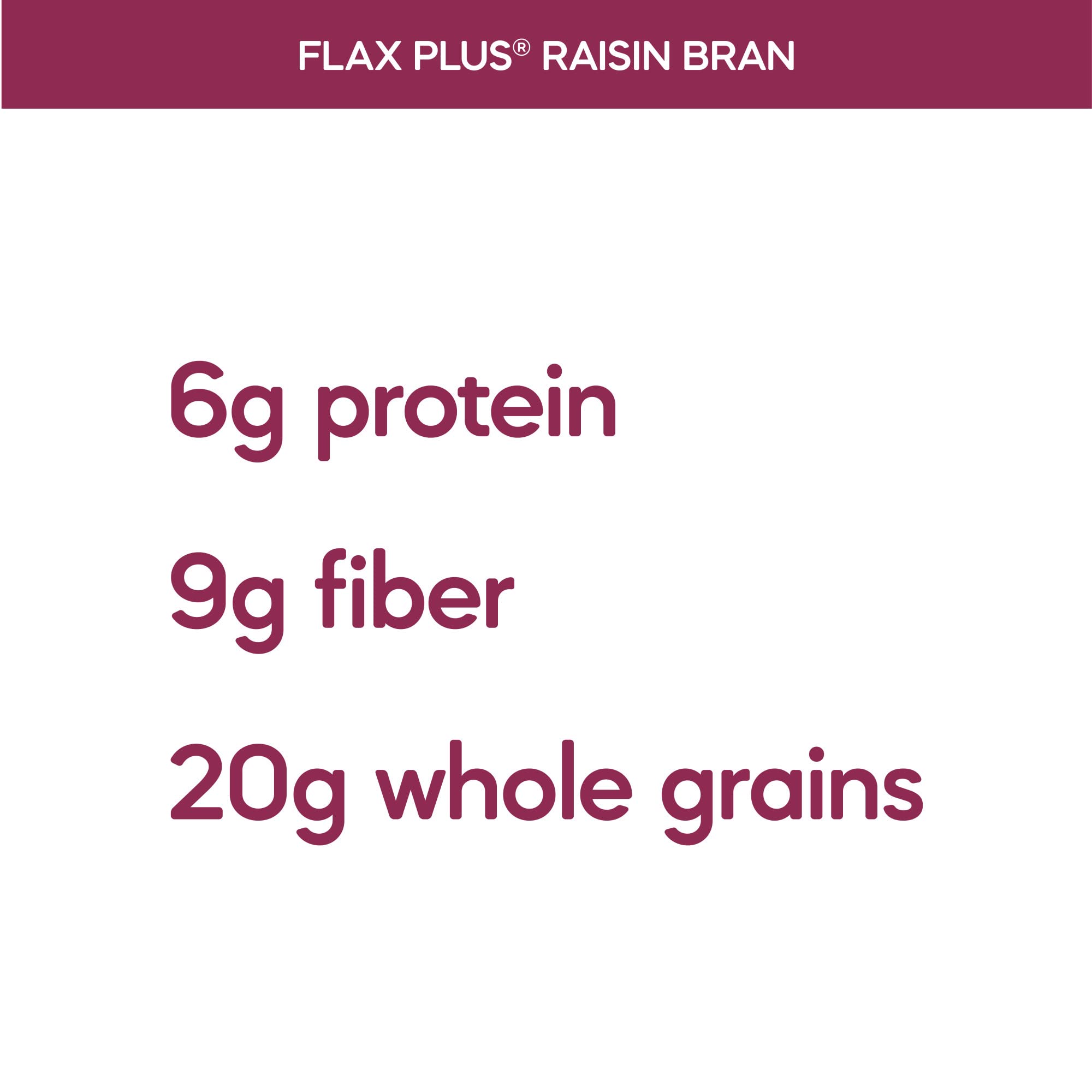 Nature's Path Organic Flax Plus Raisin Bran Cereal, 14-Ounce Boxes (Pack of 4)