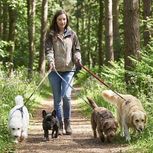 XLIUAX 2pcs Reflective Nylon Dog Collar Clips, Double-Ended Backup Dog Collar Safety Clasp Clip Adjustable Harness Connector for Pet, Black