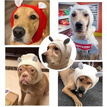 未開封 Mサイズ 猫の服 犬服 小型犬 帽子 防寒 保温 未開封 Mサイズ 猫の服 犬服 小型犬 帽子 防寒 保温 未開封