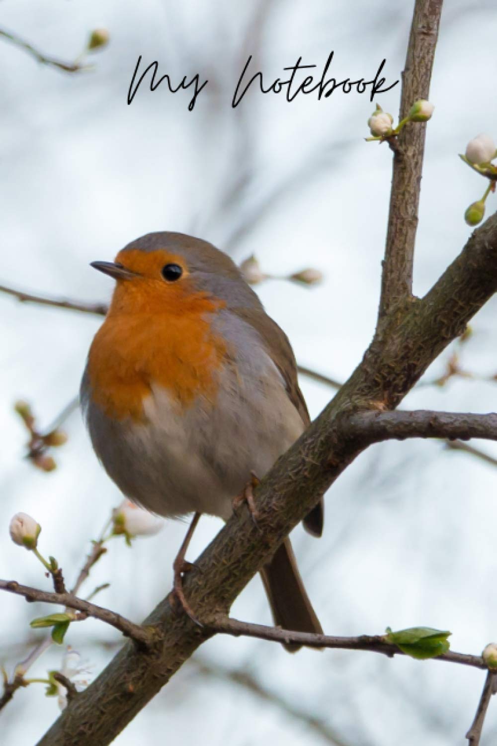 My Notebook: The Beautiful Robin; The Christmas Bird