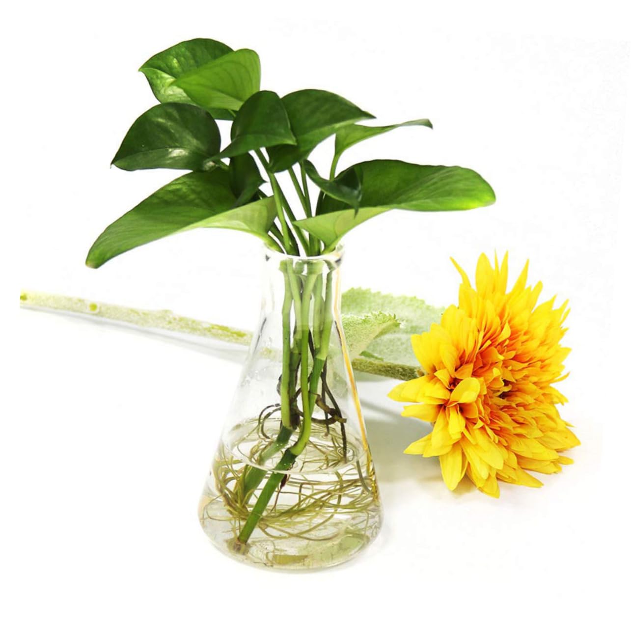 Matraz Cónico de Vidrio Borosilicato Alto 5 Piezas | Fondo Plano, Cuello Ancho y Graduaciones Estándar, 50ml a 1000ml para Laboratorio y Química