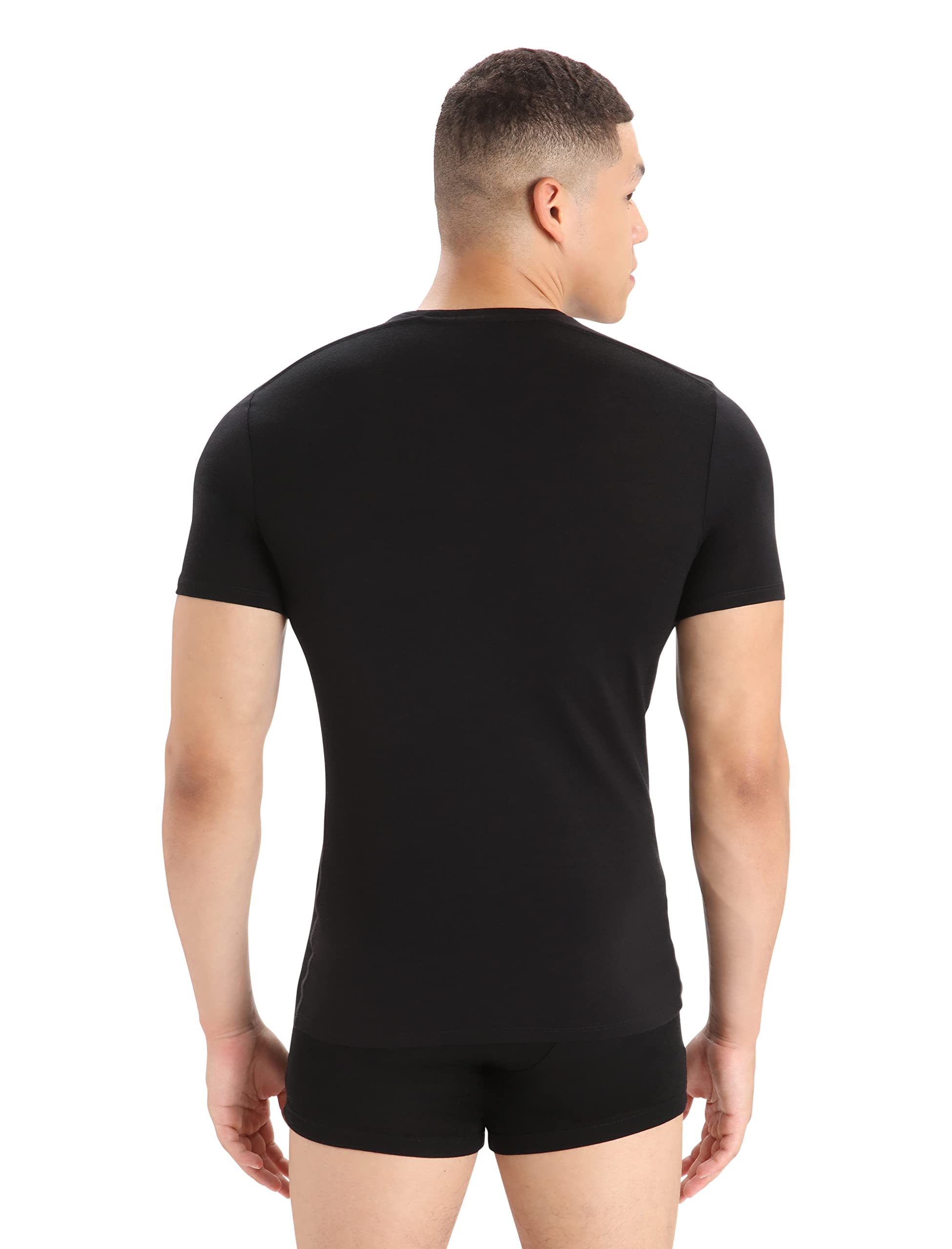 Icebreaker Anatomica T-Shirt Homme
