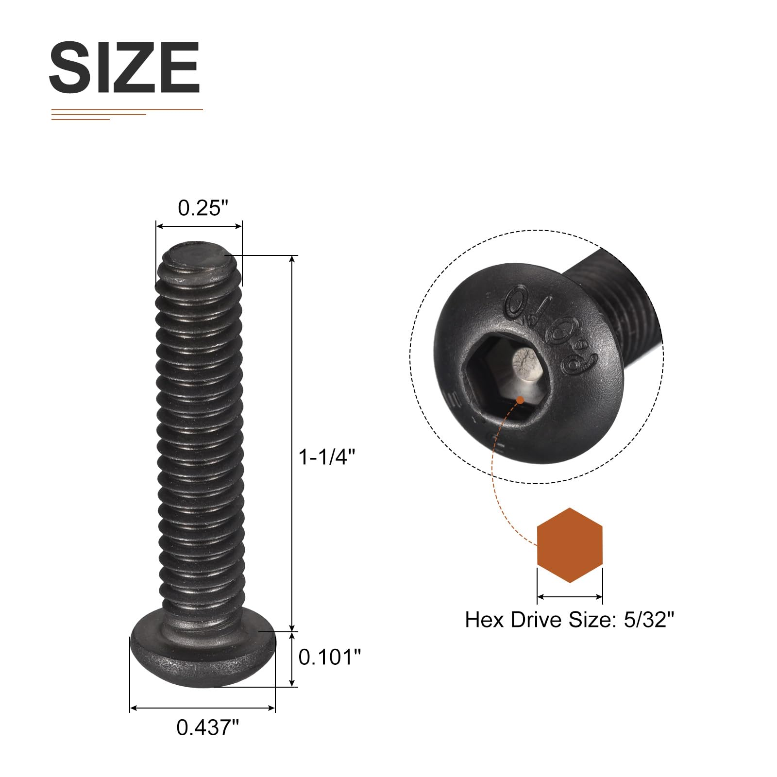 Amazon | DTGN 1/4-20x1-1/4