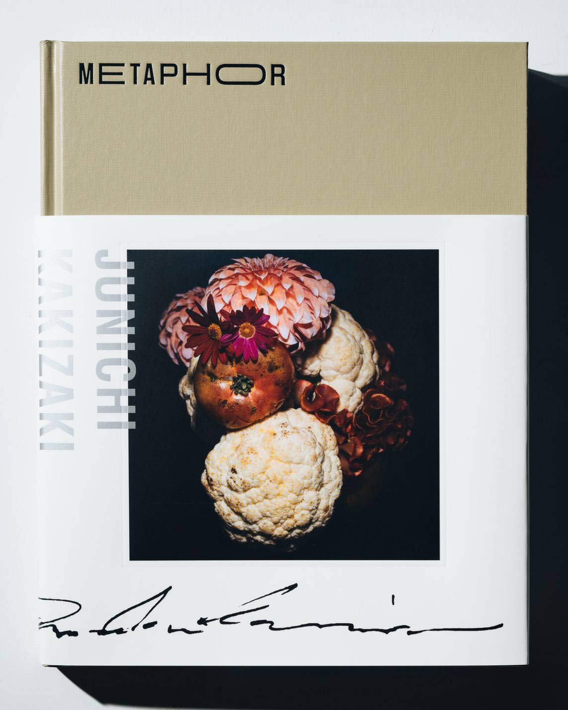 METAPHOR | 柿崎順一, 竹田信弥、由井緑郎, 鈴木幸野, 林育正