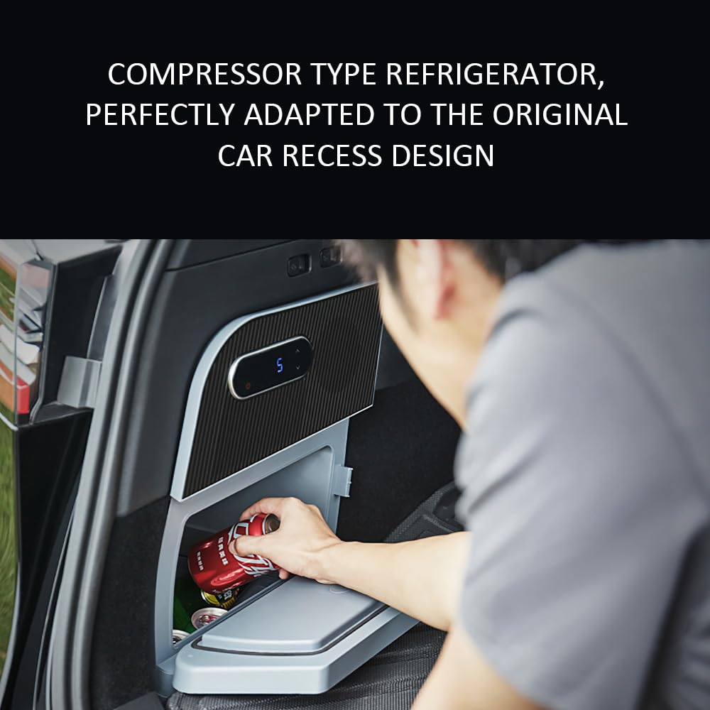 Amazon.com: Tlyard Tesla Model Y Car Refrigerator, 22°F