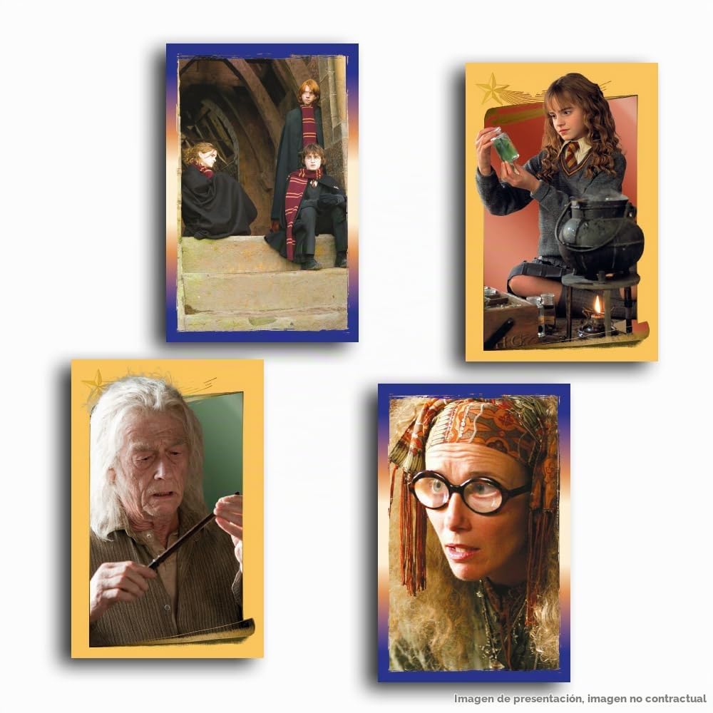 Panini Harry Potter - Juego de 1 álbum + 18 fundas + 3 cartas edición limitada 004387MCOUAFC