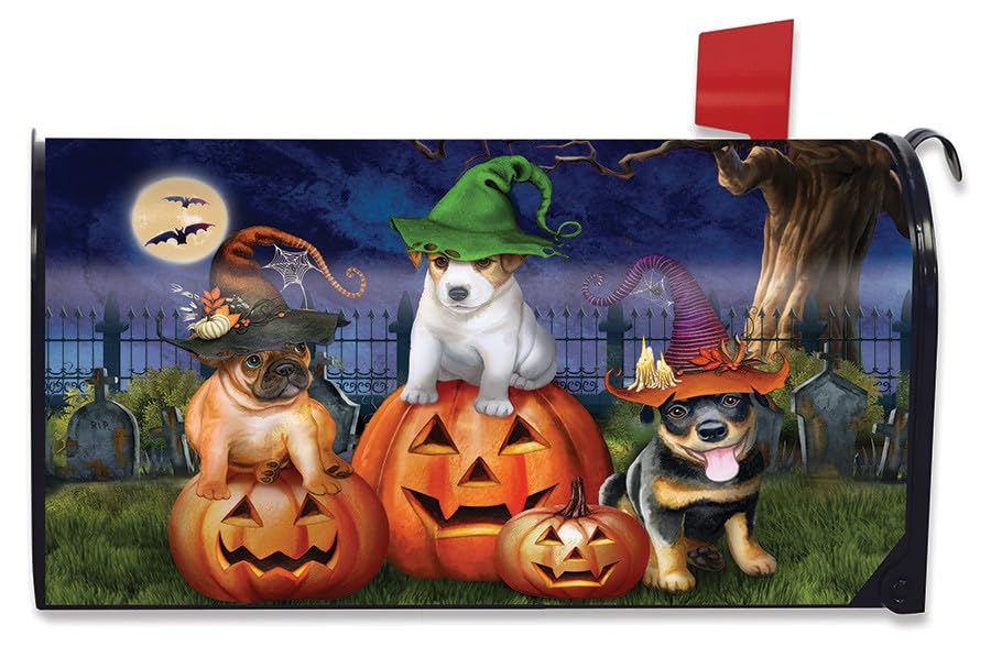 Habillage magnétique boîte aux lettres Halloween pour un décor extérieur rapide